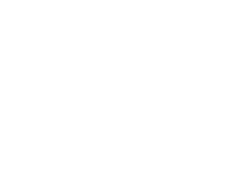 Robin College Counseling